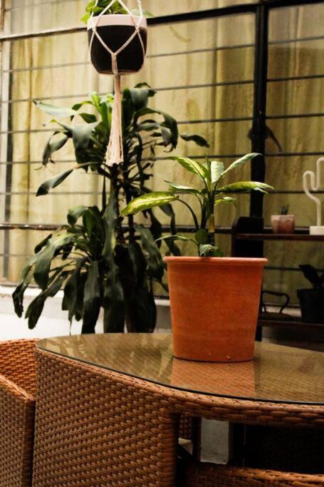 New Mex Inspired Bo-Ho Chic Apartment With Private Patio And Roof Terrace Mexico by Eksteriør bilde