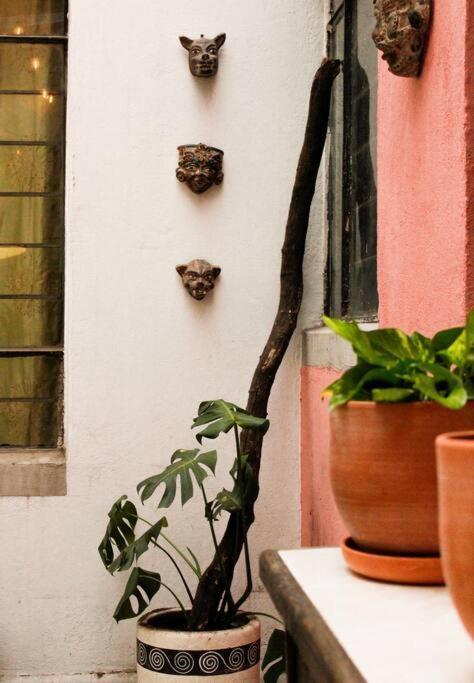 New Mex Inspired Bo-Ho Chic Apartment With Private Patio And Roof Terrace Mexico by Eksteriør bilde